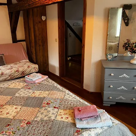 Cats Forest Großschönau