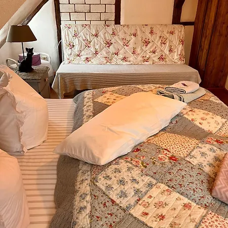 Cats Forest * Großschönau