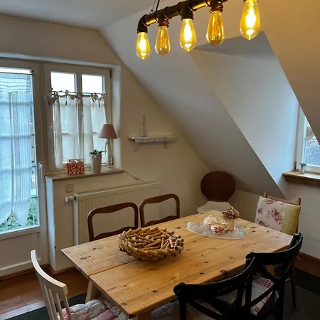 Apartman Cats Forest *