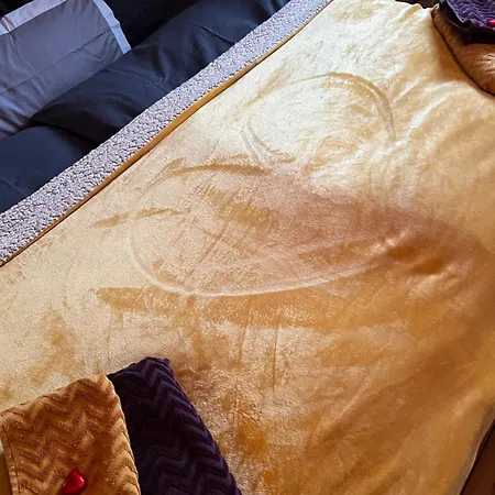 Cats Forest アパート *