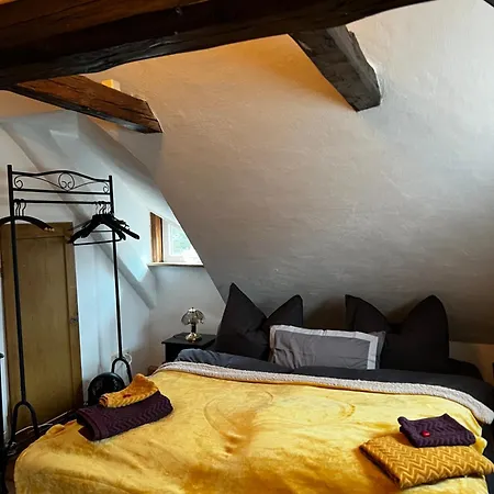 Cats Forest Apartman *