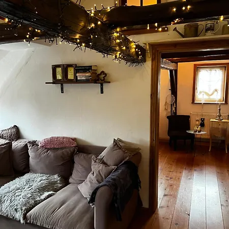 Apartman Cats Forest *