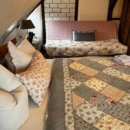 Cats Forest Apartman