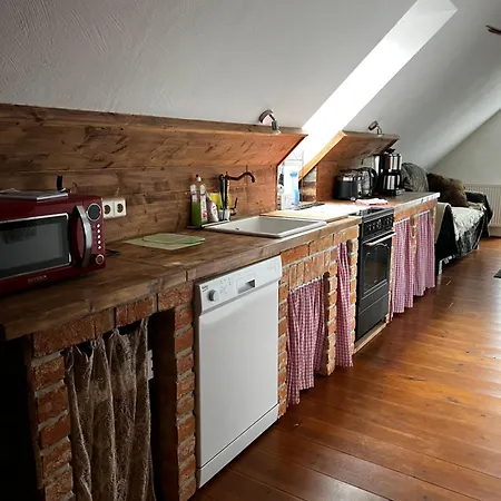 Cats Forest Apartment *