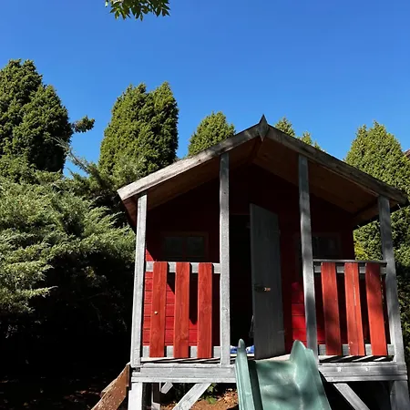 Apartman Cats Forest *