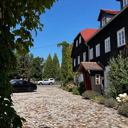 Cats Forest Großschönau