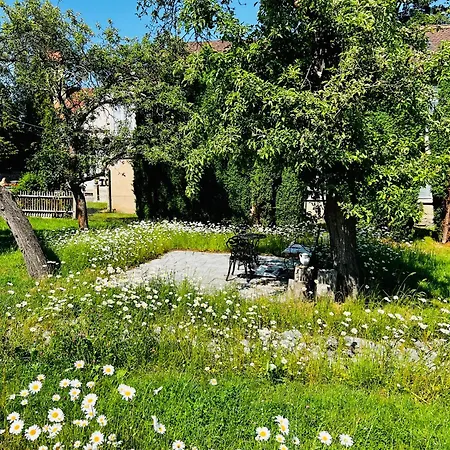 Cats Forest * Großschönau