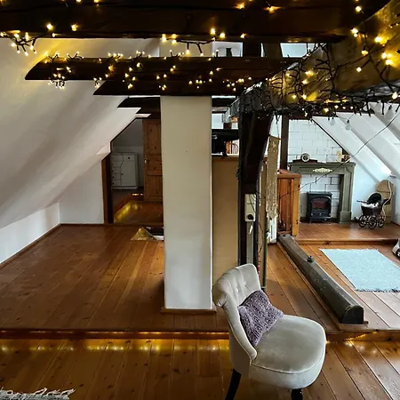 Cats Forest Apartman *