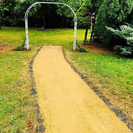 Cats Forest * Großschönau