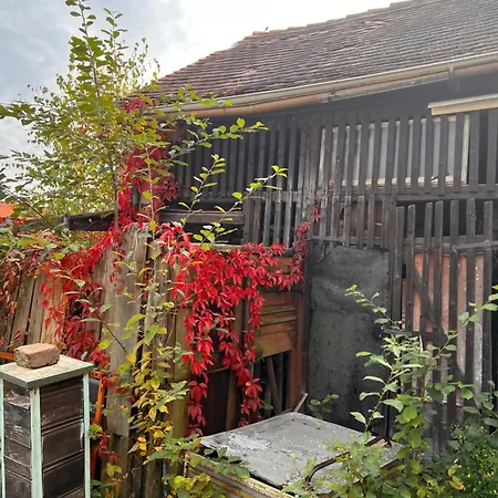 アパート Cats Forest *