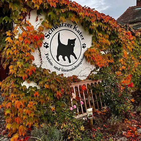 Apartman Cats Forest *