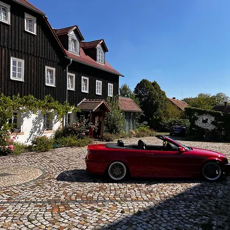 Cats Forest Großschönau