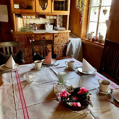 Apartman Cats Forest *