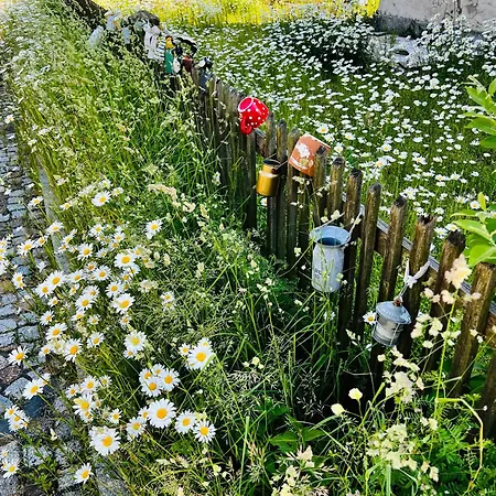 Apartman Cats Forest *