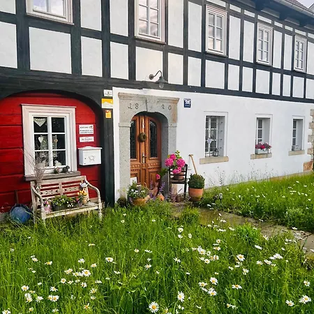 Cats Forest * Großschönau