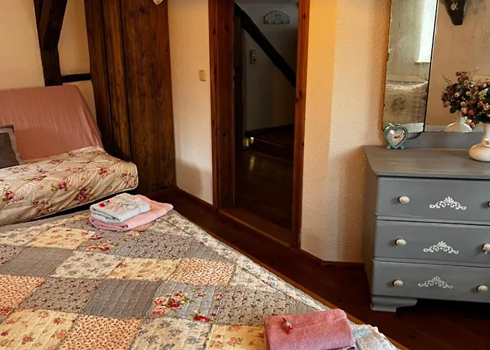 Cats Forest Grossschoenau