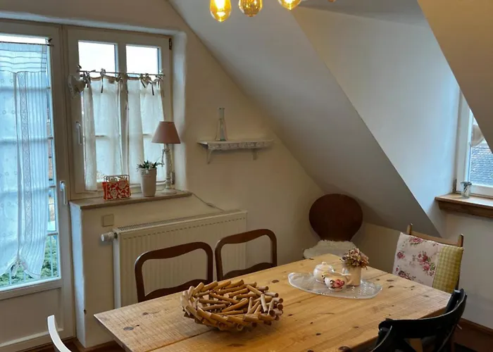 Apartment Cats Forest *