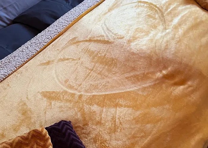 Cats Forest Apartment *