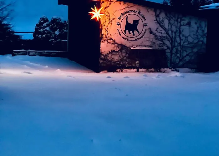 Cats Forest Apartment Grossschoenau