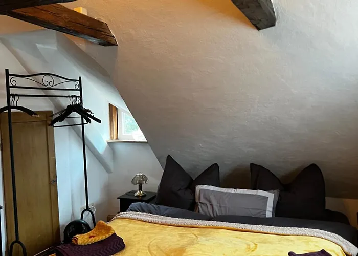 Cats Forest Apartment *