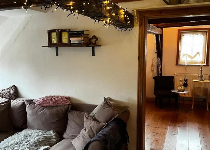 Apartment Cats Forest *