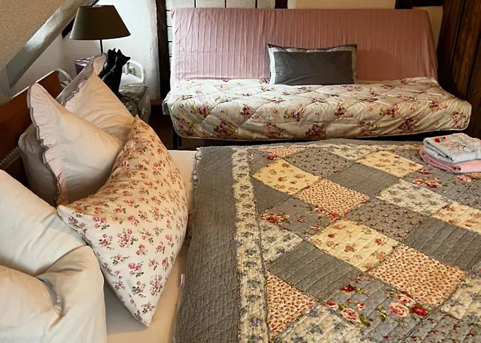 Cats Forest Apartment