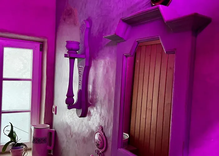 Cats Forest Apartment *