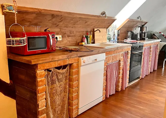 Cats Forest * Grossschoenau