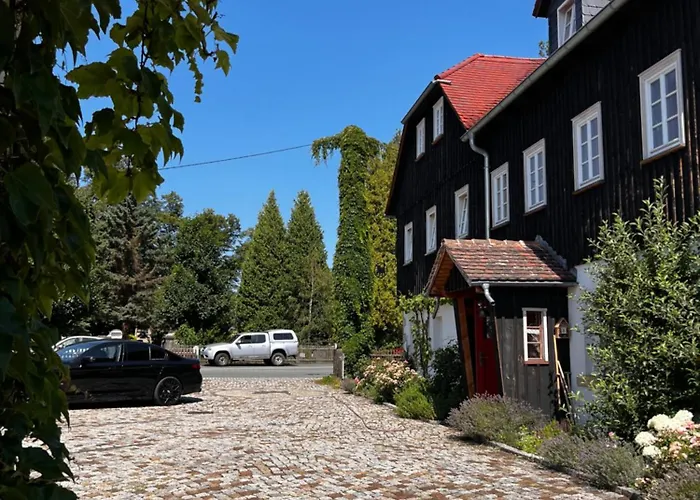 Cats Forest Grossschoenau