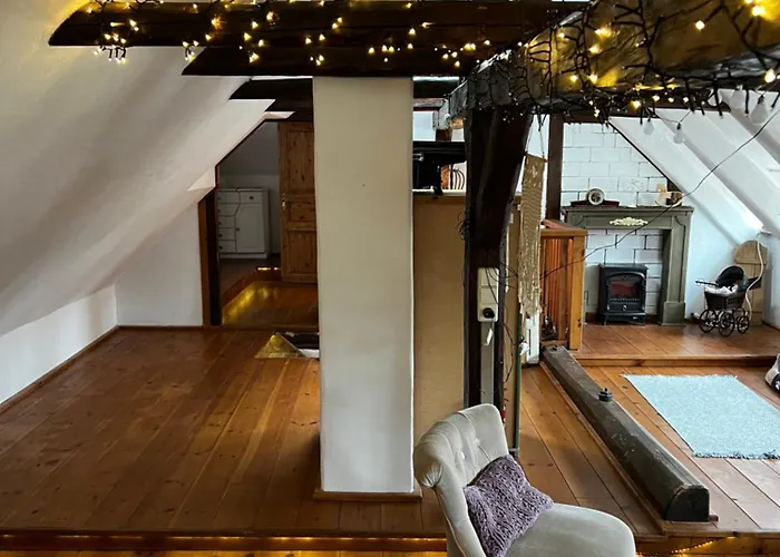 Cats Forest Apartment *