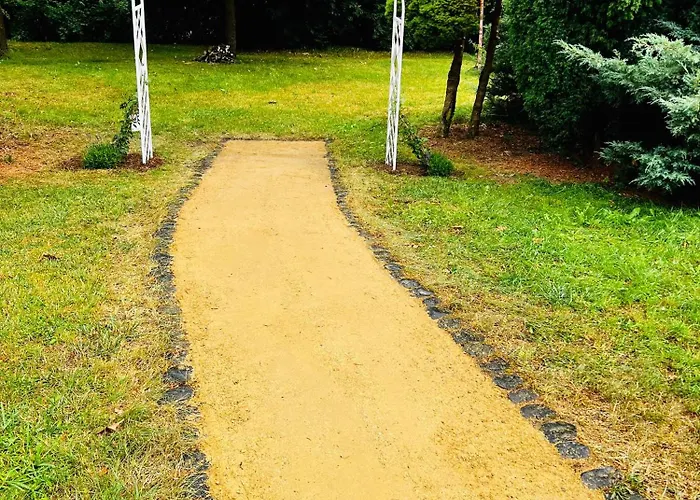 Cats Forest * Grossschoenau