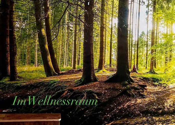 Cats Forest Apartment Grossschoenau