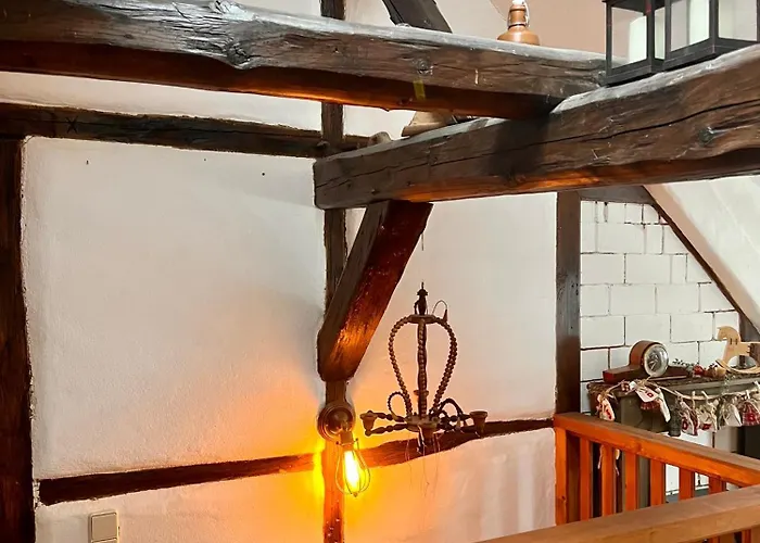 Cats Forest Apartment *