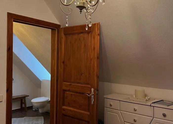 Apartment Cats Forest Grossschoenau