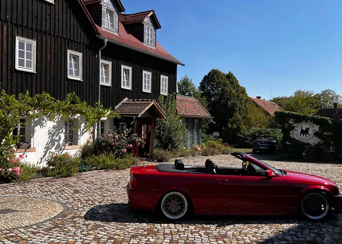 Cats Forest Grossschoenau