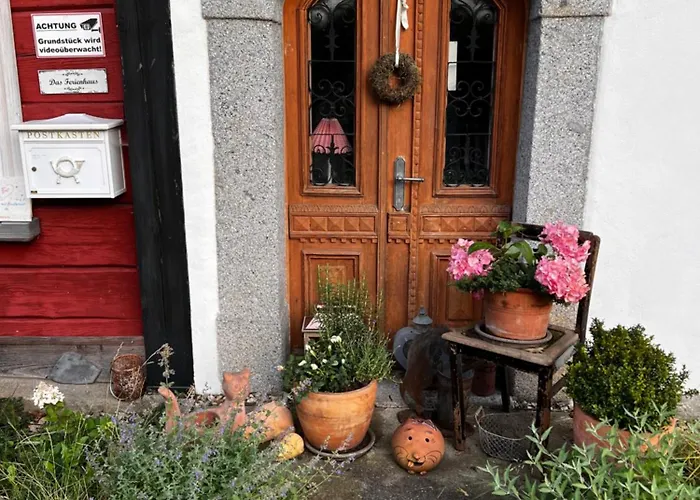 Apartment Cats Forest *