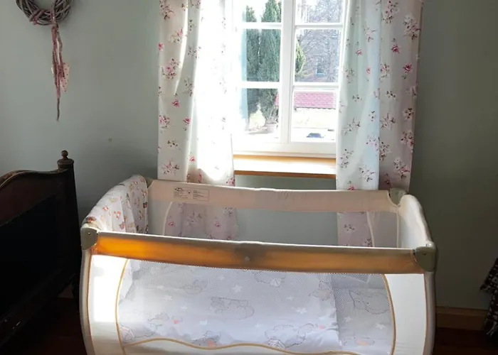 Apartment Cats Forest Grossschoenau