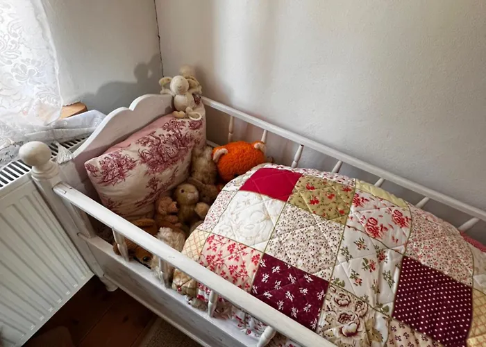 Apartment Cats Forest *