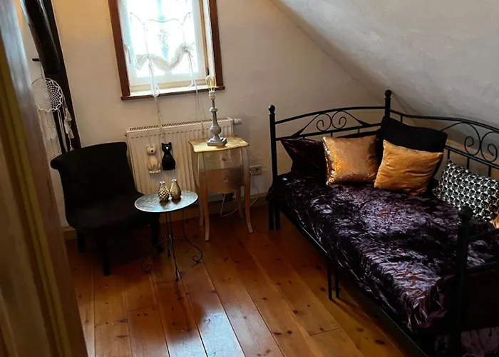 Apartment Cats Forest