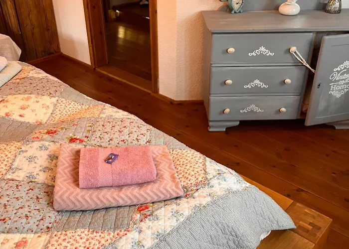 Apartment Cats Forest *