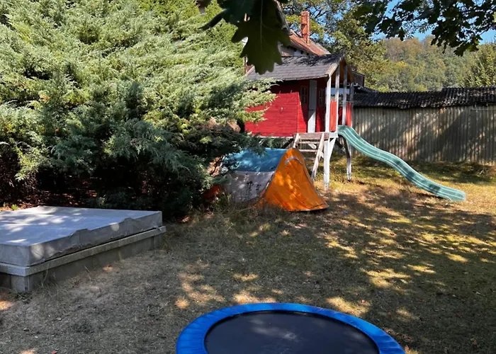 Cats Forest * Grossschoenau