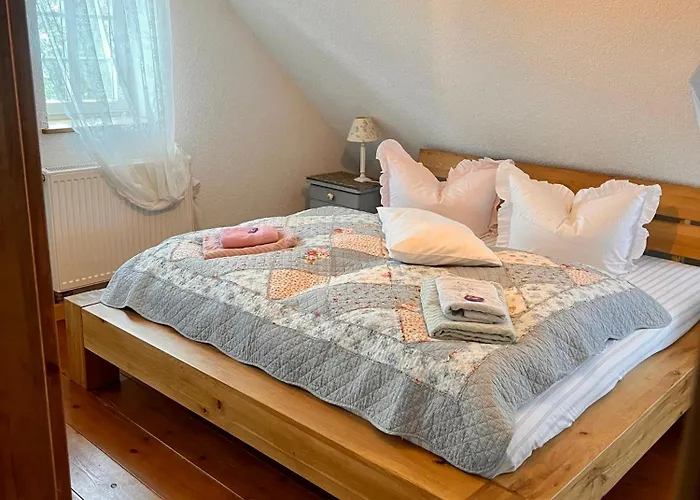 Cats Forest Apartment *