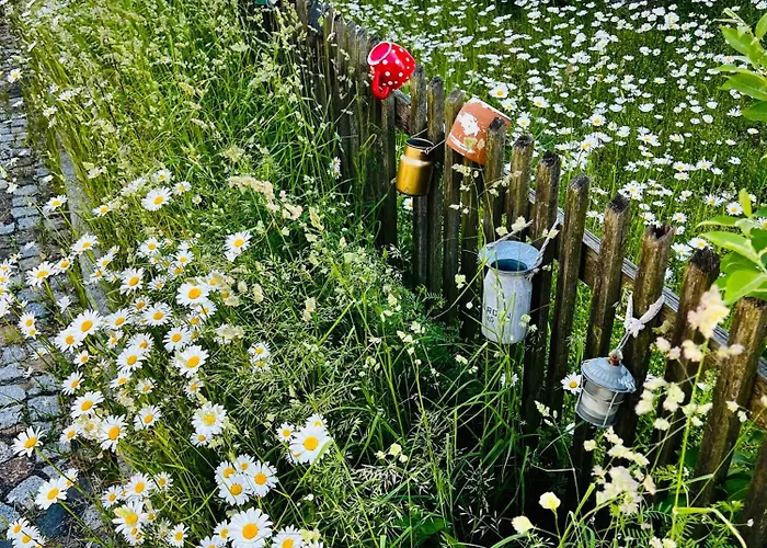 Apartment Cats Forest *