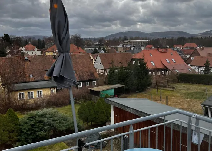 Cats Forest * Grossschoenau