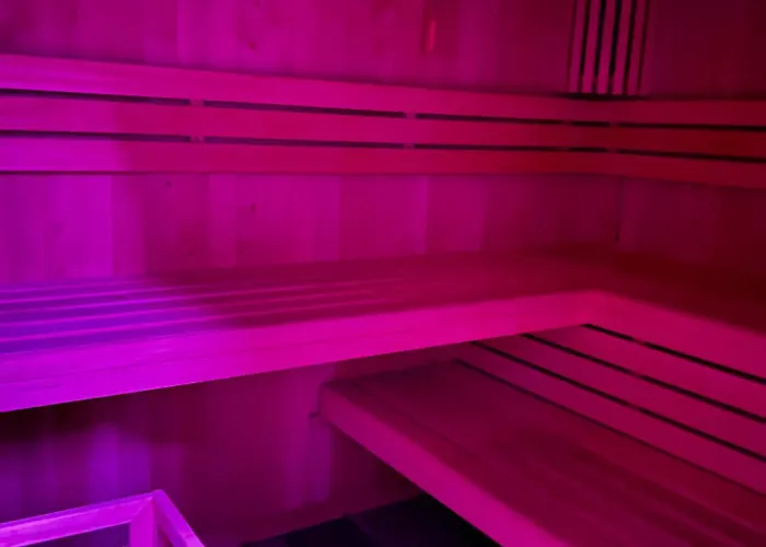 Apartment Cats Forest