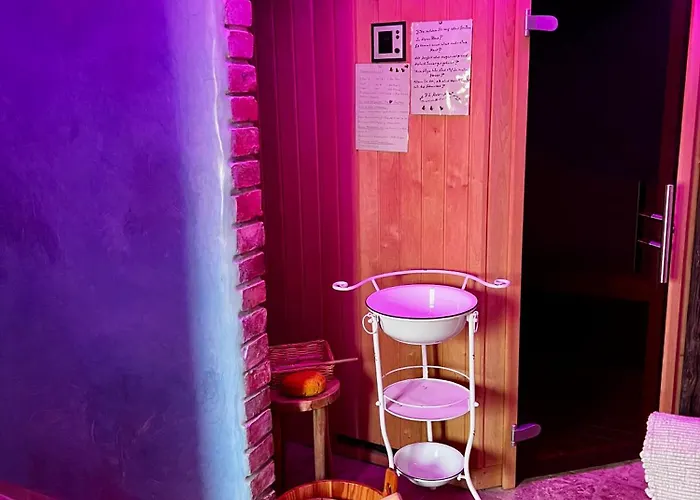 Apartment Cats Forest