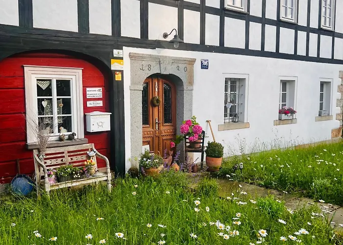 Cats Forest * Grossschoenau